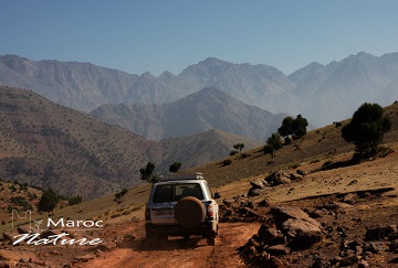 Marrakech Desert & Atlas day tour